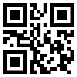 Il Qr Code di 3917172946