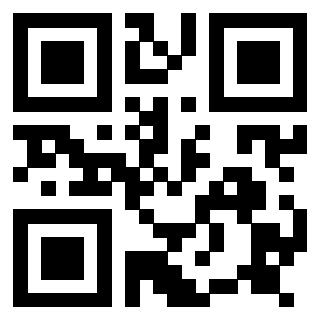Il Qr Code di 3917172969