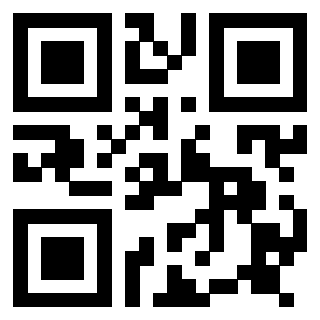 QrCode di 3917172985