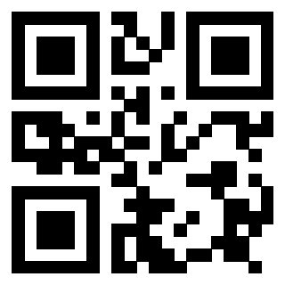 Il Qr Code di 3917173002