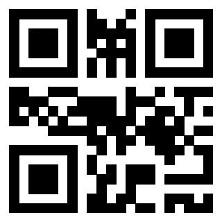 Il Qr Code di 3917173048