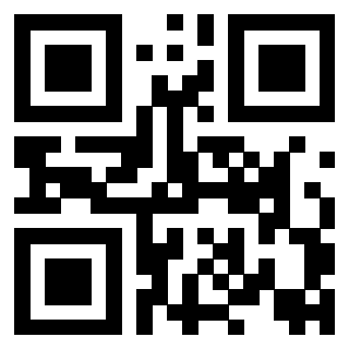 Il Qr Code di 3917173049