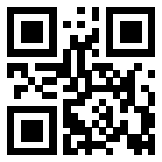 Il Qr Code di 3917173051