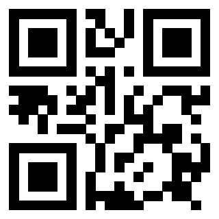 Il Qr Code di 3917173058