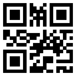Il Qr Code di 3917173100