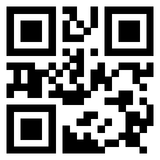 Il Qr Code di 3917173112