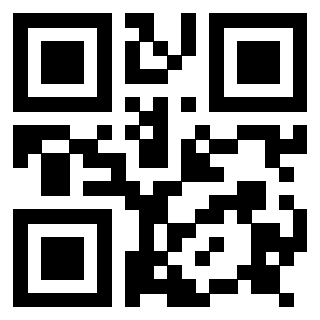 Il Qr Code di 3917173224