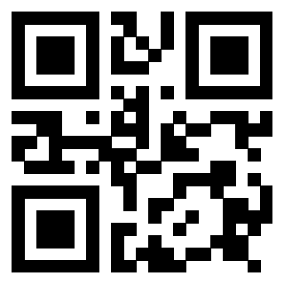 Il Qr Code di 3917173228