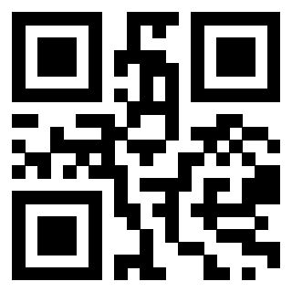 Il Qr Code di 3917173308