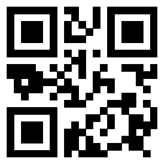 Il Qr Code di 3917173371