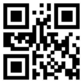 Il Qr Code di 3917173374