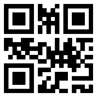 Il Qr Code di 3917173432