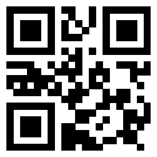 Il Qr Code di 3917173504