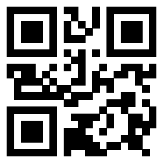 Il Qr Code di 3917173601