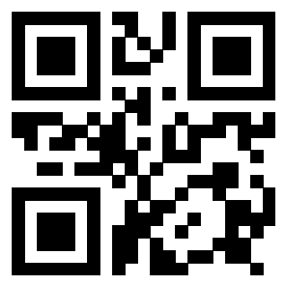 Il Qr Code di 3917173790