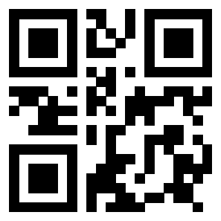 Il Qr Code di 3917173867