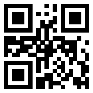Il Qr Code di 3917173871