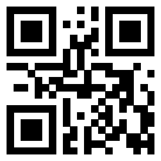 Il Qr Code di 3917173881