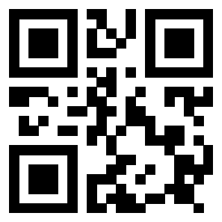 Il Qr Code di 3917173982