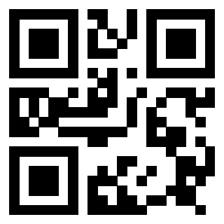 Il Qr Code di 3917174072