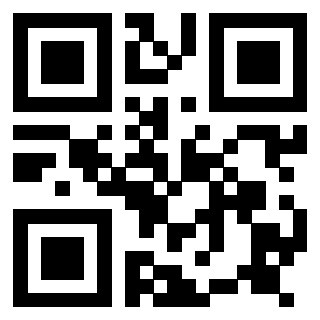Il Qr Code di 3917174095