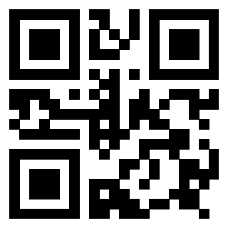 Il Qr Code di 3917174119