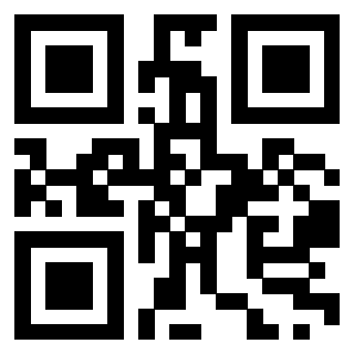 Il Qr Code di 3917174199