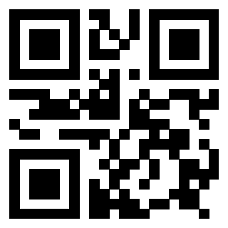 Il Qr Code di 3917174239