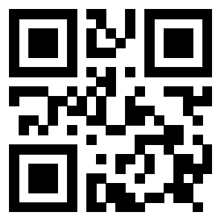 QrCode di 3917174319