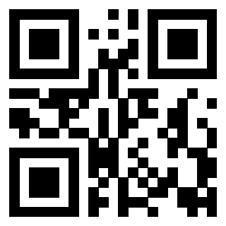 Il Qr Code di 3917174344