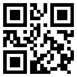 Il Qr Code di 3917174381