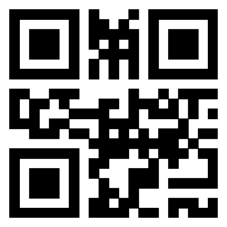 Il Qr Code di 3917174633