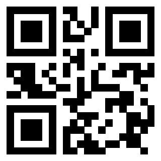 Il Qr Code di 3917174666