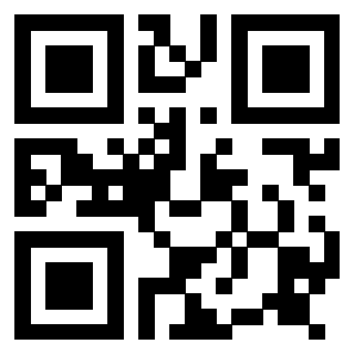 Il Qr Code di 3917179321