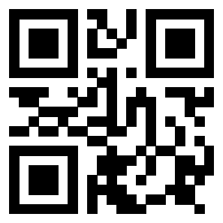 Il Qr Code di 3917179561