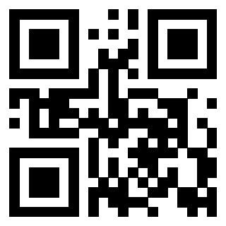 QrCode di 3917179713