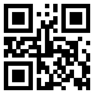 Il Qr Code di 3917179717
