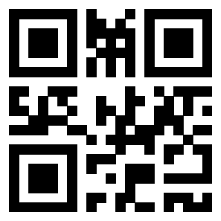 Il Qr Code di 3917179754