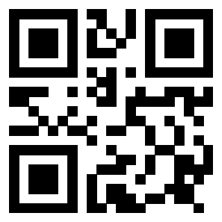 Il Qr Code di 3917179893