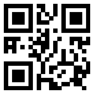 Il Qr Code di 3917179924