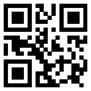 Il Qr Code di 3917179975