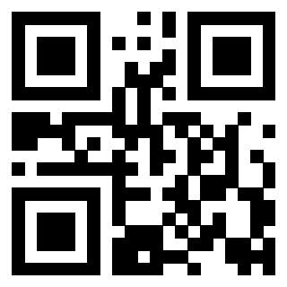Il Qr Code di 3917180067