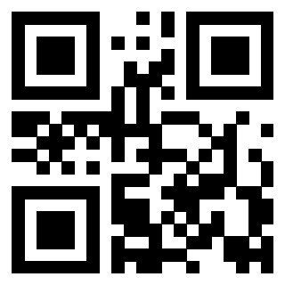 Il Qr Code di 3917180133