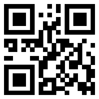 Il Qr Code di 3917180206