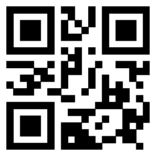 Il Qr Code di 3917180304