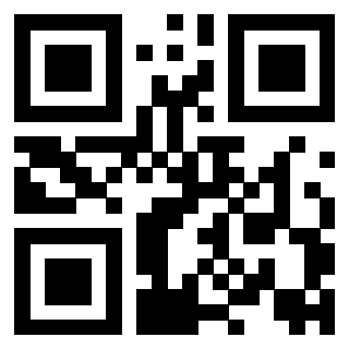 Il Qr Code di 3917180316