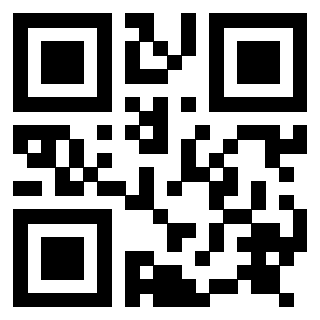 QrCode di 3917278013