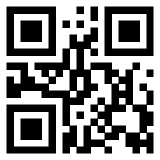 Il Qr Code di 3917279291