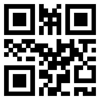 QrCode di 3917279313