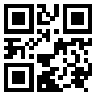 Il Qr Code di 3917279863